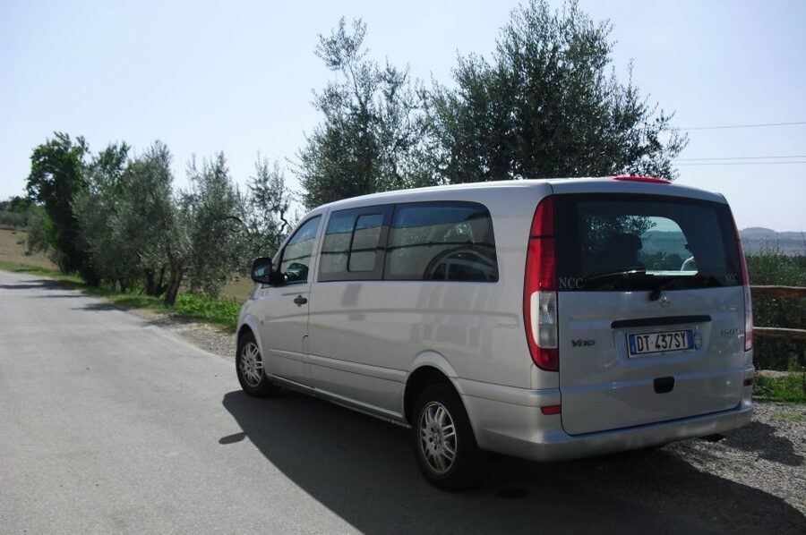 Livorno Port, Pisa, Florence: Full-Day Shore Excursion - Key highlights worth knowing