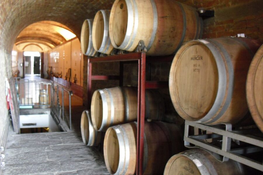 Livorno Port, Pisa, Florence: Full-Day Shore Excursion - Livorno port to Pisa and Florence by Mercedes van: why this format works