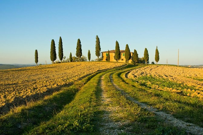 Livorno Shore Excursion: Chianti and Tuscany Countryside Private Wine Tour - Fattoria di Montecchio or Casa Emma: What the winery tasting actually gives you