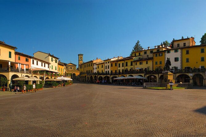 Livorno Shore Excursion: Chianti and Tuscany Countryside Private Wine Tour - How the private guide shapes the whole day
