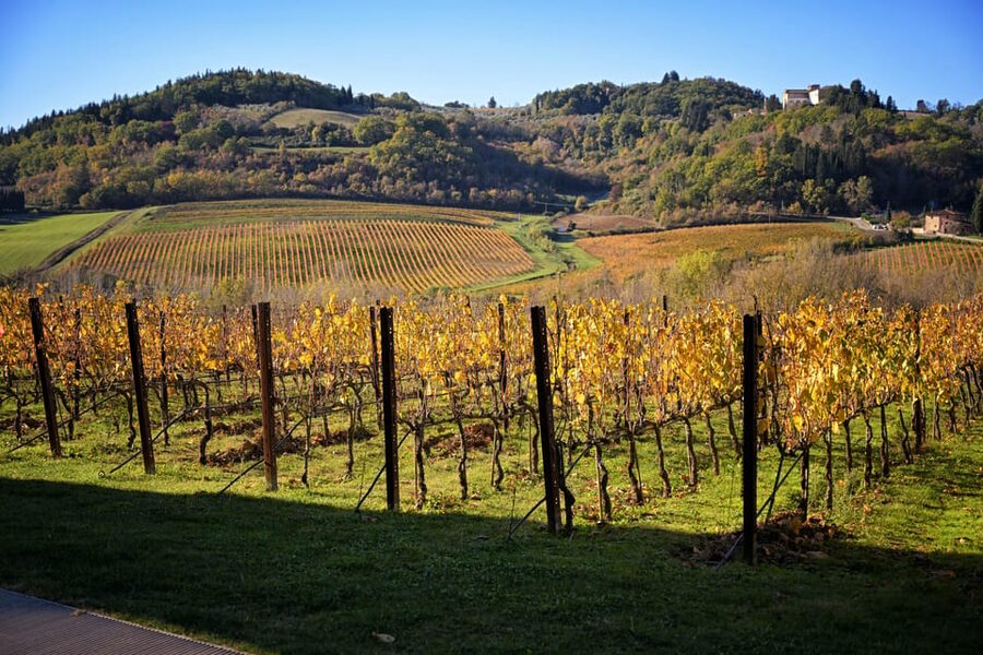 Magic Tuscany Tour - Crete Senesi hills: the “light-and-shadow” Tuscany experience