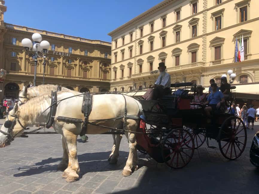Medieval Carriage Ride: Check out Florence like a traveler from the past - The Horses and the Coachman: What the First Minutes Look Like