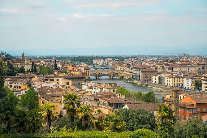 Michelangelo’s David & Medici Treasures Accademia Gallery Tour - Accademia Gallery Arrival at 8:00 and What Priority Access Really Changes