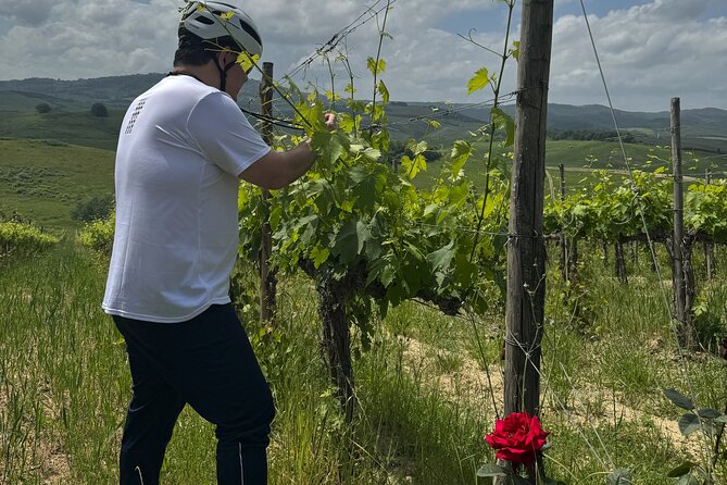 MONTALCINO Private E-Bike & Brunello Winery Experience - Comfort and safety: the e-bike details you’ll care about