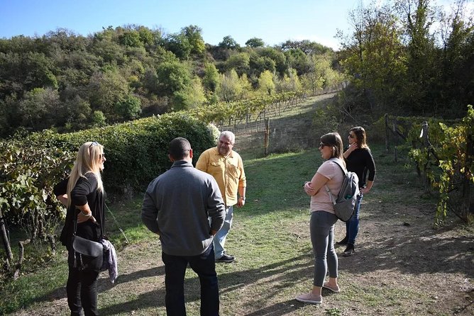 Montalcino wine tour - Why a guided Montalcino circuit beats DIY