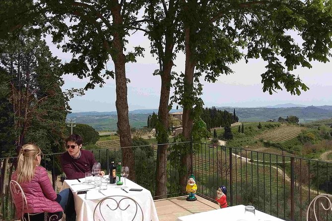 Montalcino wine tour - Martoccia: the first producer stop and your baseline