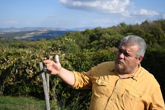 Montalcino wine tour - Piombiaia biodynamic estate lunch: when food and wine connect