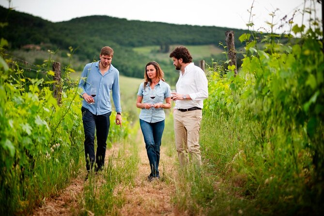 Montefioralle Winery - Tour and Wine Tasting in Chianti - Montefioralle Winery: a small Chianti stop with real working-farm energy