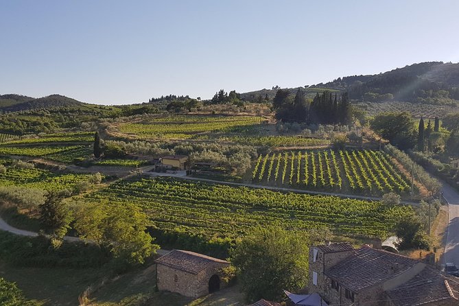 Montefioralle Winery - Tour and Wine Tasting in Chianti - Price and time: why $42.24 can feel fair here