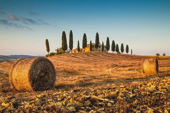 Montepulciano, Montalcino, Pienza from Florence - From Florence to Val d’Orcia Without the Headache