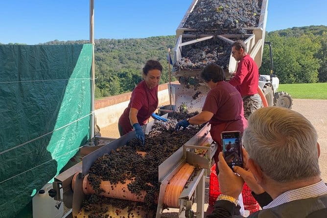 Montepulciano Pienza Montalcino Tour from Florence - Why this Florence-to-Tuscany day feels like good value