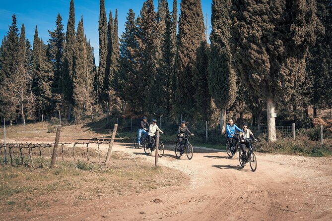 Morning Chianti E-Bike: Immersive Wine Experience & Local Lunch - Weather and Confidence: The Two Things to Plan Around