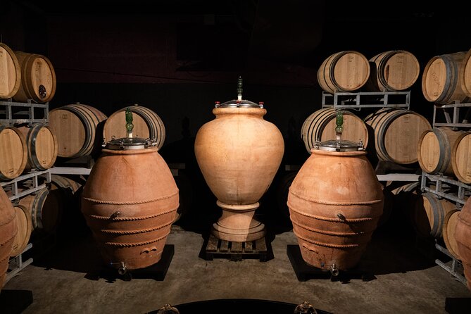 Morning Chianti E-Bike: Immersive Wine Experience & Local Lunch - Piazzale Michelangelo: Your Iconic Florence Pause
