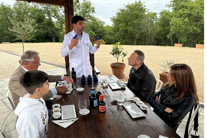 Olive Oil Tours and Tasting at Frantoio di Montalcino - The Tour Experience: From Olives to Bottles