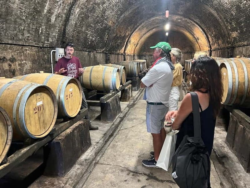Organic Wine and Food Tasting at Historic Fattoria Majnoni - Key Highlights You’ll Actually Care About