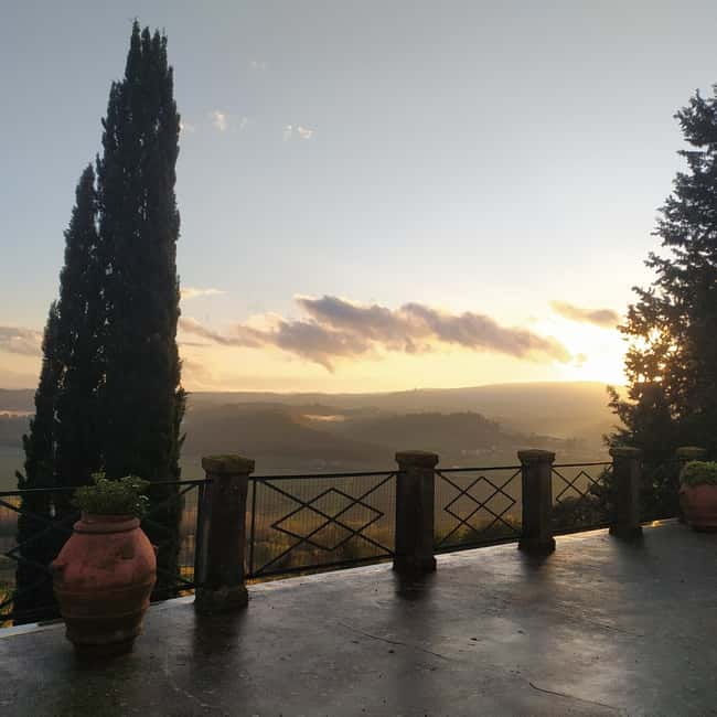 Organic Wine and Food Tasting at Historic Fattoria Majnoni - The Vineyard Walk: Organic and Regenerative Farming, Explained Clearly