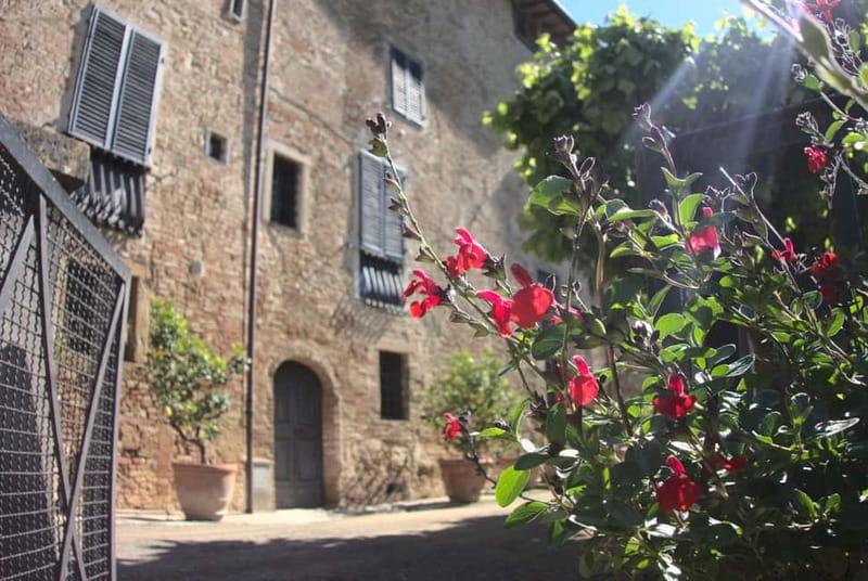 Organic Wine and Food Tasting at Historic Fattoria Majnoni - Optional Baroque Villa Add-On: Worth It if You Like Art and Frescoes
