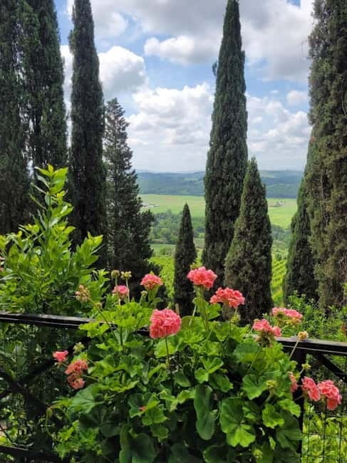 Organic Wine and Food Tasting at Historic Fattoria Majnoni - Price and Value: Is $73.64 a Good Deal?