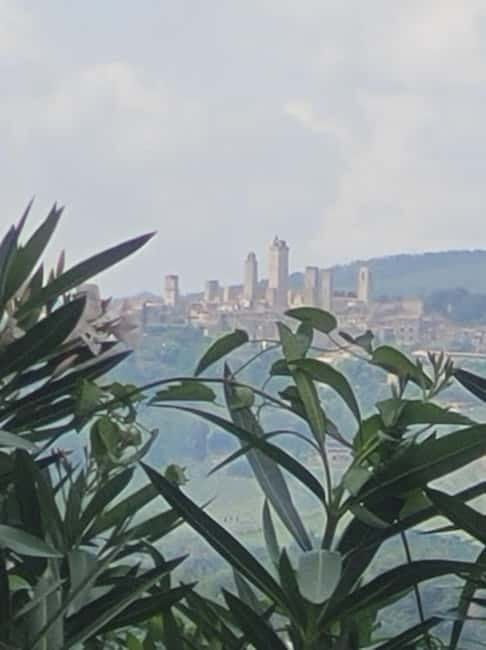 Organic Wine and Food Tasting at Historic Fattoria Majnoni - Language Options and Guide Style: What to Expect