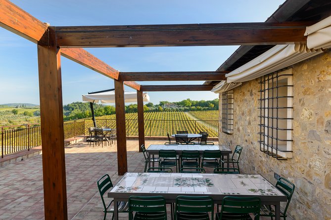 Organic Wine Tour&Tasting overlooking Chianti Classico Vineyards - What you learn in the guided cellar tour (and why it matters)