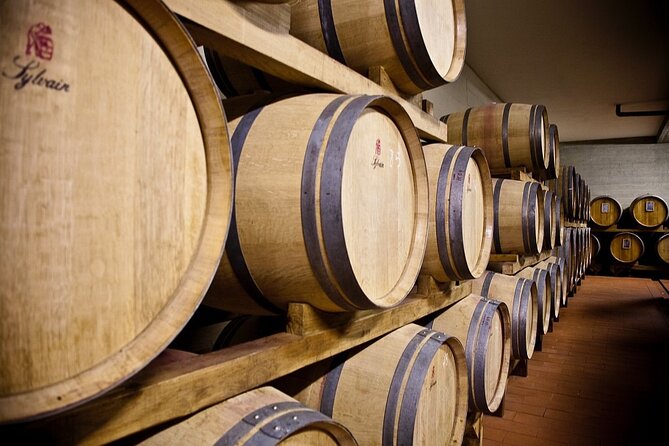 Organic Wine Tour&Tasting overlooking Chianti Classico Vineyards - Price and value: why $29.47 can make sense here