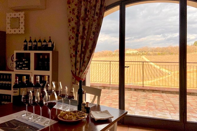 Organic Wine Tour&Tasting overlooking Chianti Classico Vineyards - Best timing and how to plan it from San Gimignano