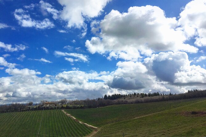 Organic Wine Tour&Tasting overlooking Chianti Classico Vineyards - Who should book Casa Emma (and who might want a different option)