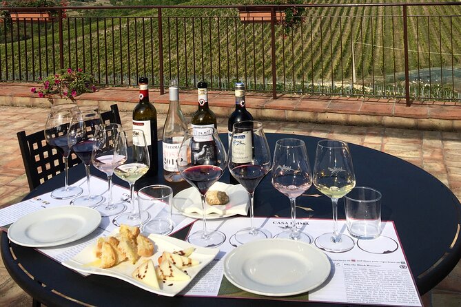 Organic Wine Tour&Tasting overlooking Chianti Classico Vineyards - Food pairings: bread, pecorino, olive oil, and balsamic