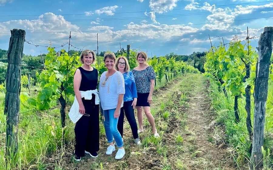 Pick Vegetables at the farm & Cook pasta - Extra virgin olive oil tasting and homemade wine: why it matters