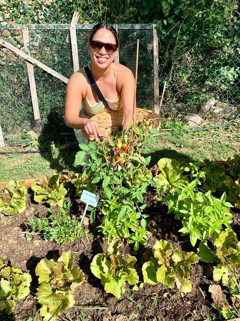 Pick Vegetables at the farm & Cook pasta - Coffee, villa tour, and the story behind the food