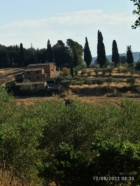 Pisa and Florence Private Shore Excursions from Livorno - Key things to know before you go