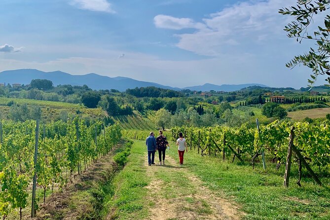 Pisa and Lucca Tour from Florence - Tuscany Winery Option: Lunch and Wine Tasting at a Family Farm