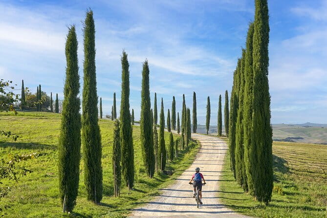 Pisa, Siena and San Gimignano Day Trip with Lunch & Wine Pairing - Siena Cathedral Interior: When Extra Tickets Are Worth It