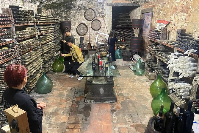 Pisa, Vinci, Tuscany, Wine tasting all in one day! - Small Group - Back to Florence: managing time and energy for a smooth evening