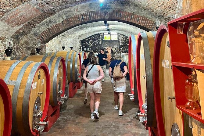 Pisa, Vinci, Tuscany, Wine tasting all in one day! - Small Group - Should you book this Pisa–Vinci–Tuscany wine day trip?