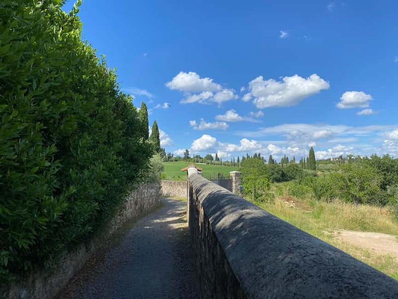 Premium Chianti E-Bike Tour, Food Wine Tasting + Photo shoot - Piazza Ognissanti start: where the ride really begins