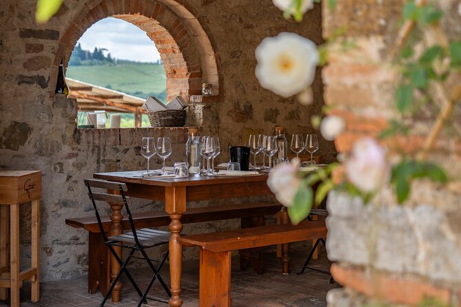 Private Bike Tour & Chianti Wine Tasting in Tuscany - Castellina in Chianti: The Hilltop Stroll Break You’ll Remember