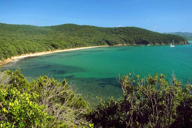 Private Boat Excursion with Lunch or Aperitif to the Calette di Scarlino - Stop 3: Cala Civette’s Sandy Beach and Pine-Forest Backdrop
