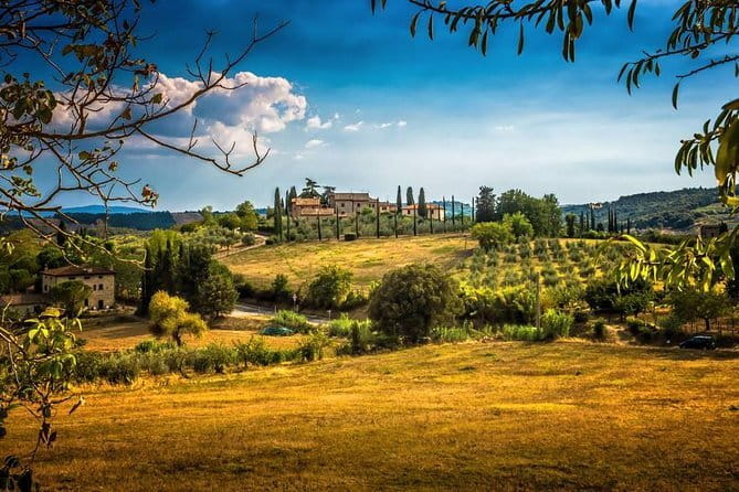 Private Carmignano Tour: The First Cabernet Sauvignon in Tuscany - Key highlights worth your attention