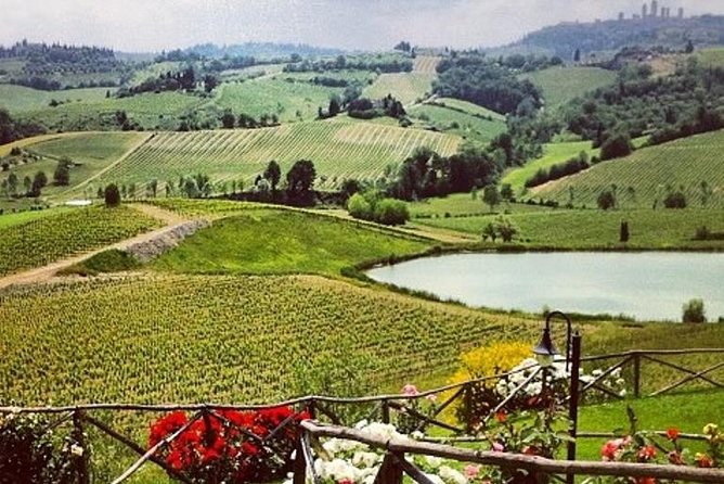 Private Chianti Classico Tour with wine and food tasting in a Historic Estate - Key highlights worth planning for