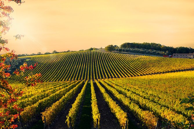 Private Chianti Classico Tour with wine and food tasting in a Historic Estate - The guides and hosts: what to expect from the people side