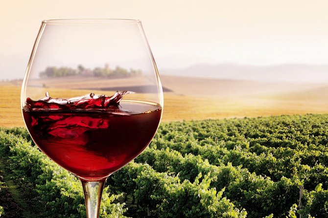 Private Chianti Classico Tour with wine and food tasting in a Historic Estate - Price and value at about $341 per person
