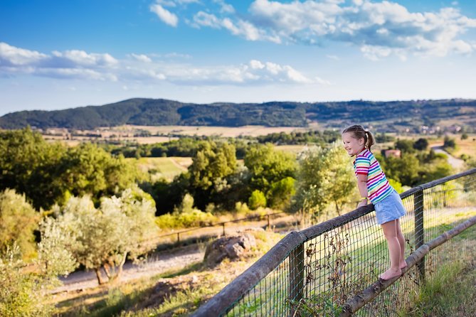 Private Chianti Tuscany Wine Tasting Tour from Florence - Private Chianti Wine Tasting from Florence: Why “Private” Matters
