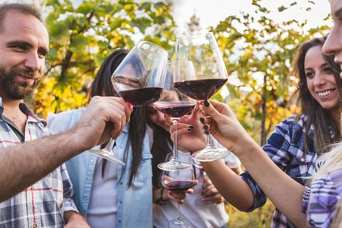 Private Chianti Tuscany Wine Tasting Tour from Florence - From 10:00 am Pickup to Chianti Hills: How the Day Flows
