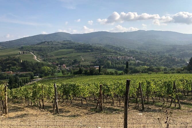 Private Chianti Wine Tasting from Florence, Half Day Experience - A Florence-to-Chianti half day that actually feels efficient