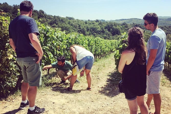 Private Chianti Wine Tour - Quick hits