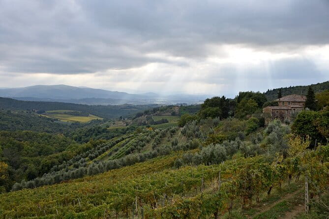 Private Chianti Wine Tour - Price and value: $720.91 per group (up to 8) in context