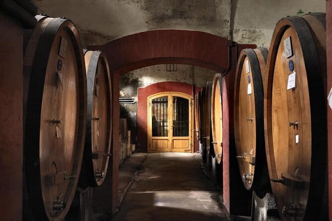 Private Chianti Wine Tour - Greve in Chianti square stroll and Giovanni da Verrazzano