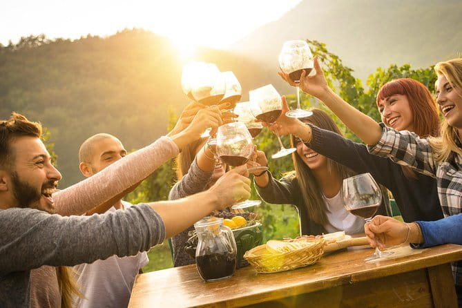 Private Chianti Wine Tour - Winery lunch in the Chianti Classico zone: what to expect and what to pay for