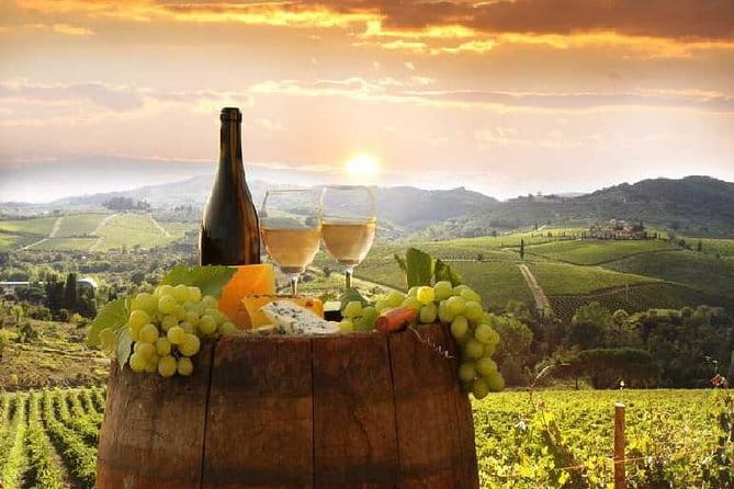 Private Chianti wine tour leaving from Florence - Key things to know before you go